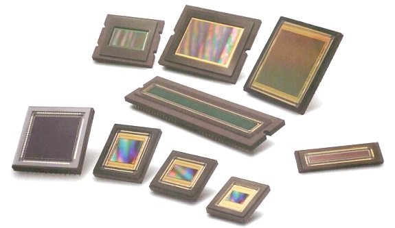A picture illustrating CCD, CMOS and sCMOS sensors on a white background