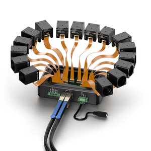 Multi camera platform 12 main ports and SFF output - 2