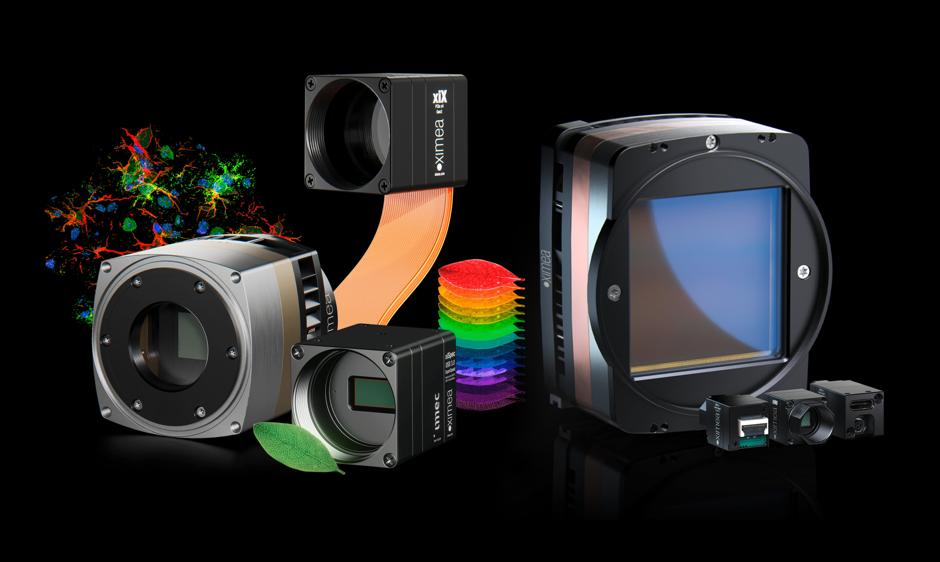 all-cams-wide