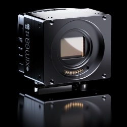 xib-64-icg-250-x-250