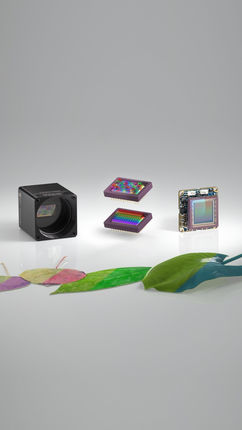 xiSpec_leafs_slide_Hyperspectral_USB3_compact_smallest_cameras_imaging