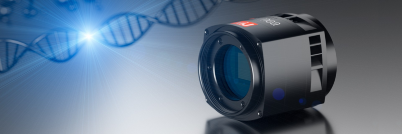 Life-Medical-science-section-long