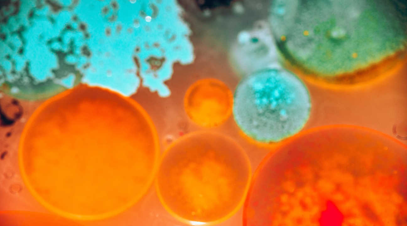 petri_dish-close_up-macro-1290px