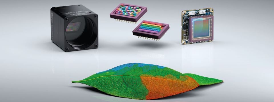 Hyperspectral cameras - xiSpec