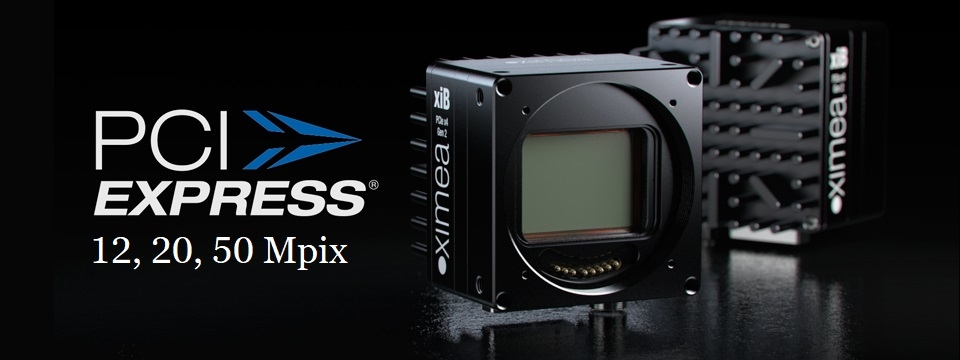 High resolution cameras with PCIe Gen2 - xiB