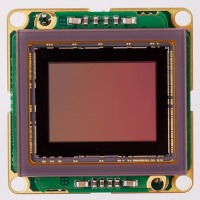 Sony IMX253 USB3 color board level camera