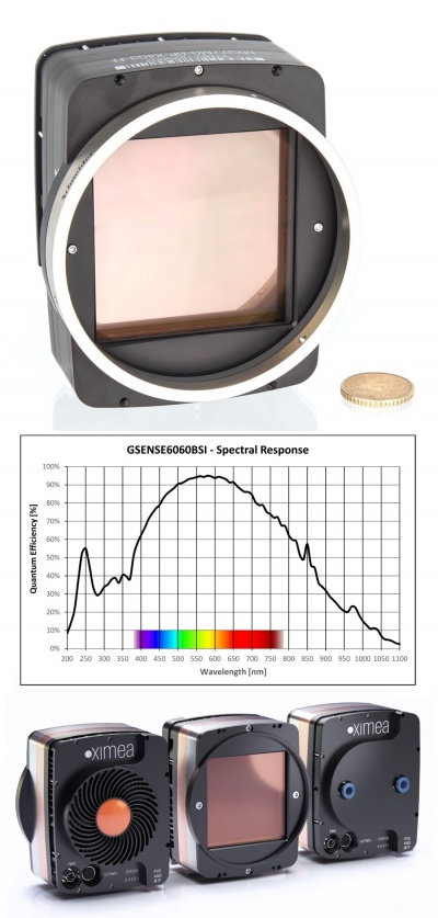 Large sCMOS sensor Gpixel GSENSE6060BSI camera