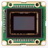 Sony IMX174 USB3 color board level camera