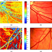 capillars hyperspectral smallest cameras scientific