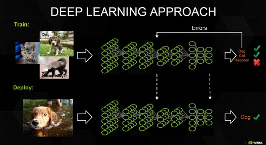 A picture illustrating the deep learning approach with the help of two images of dogs, one image of a cat, one image of a honey badger and two diagrams